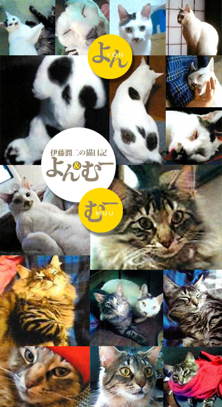 ito-junjis-cat-diary2
